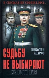 Судьбу не выбирают. Испытания. Книга вторая