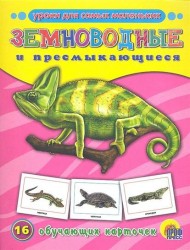 Земноводные и пресмыкающиеся. 16 обучающих карточек