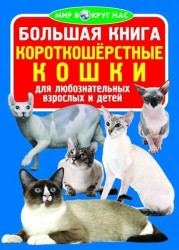 Большая книга. Короткошерстные кошки