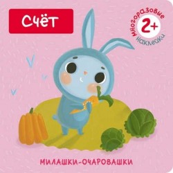 Счет (Книжка с наклейками)