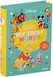 My first words / Мои первые слова (комплект из 15 развивающих книжек-кубиков)