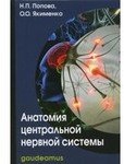 Анатомия центральной нервной системы: Учеб. пособие для вузов / 5-е изд.