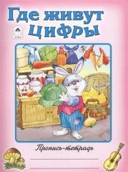 Где живут цифры. Пропись-тетрадь