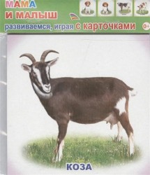 Мама и малыш (набор из 12 карточек)