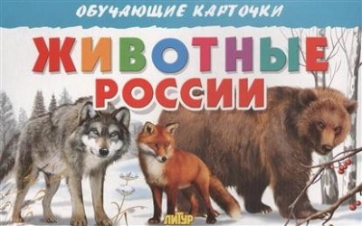 Животные России (набор из 16 карточек)