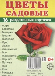 Цветы садовые (16 раздаточных карточек)