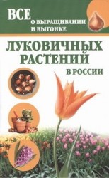 Все о выращивании и выгонке луковичных растений в России