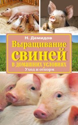Выращивание свиней в домашних условиях. Уход и откорм