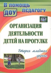 Организация деятельности детей на прогулке. Вторая младшая группа