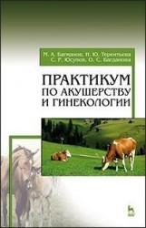 Практикум по акушерству и гинекологии. Учебное пособие