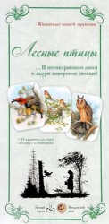 Животный мир «Лесные птицы. …И песню раннюю запел в лазури жаворонок звонкий»