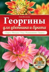 Георгины для цветника и букета