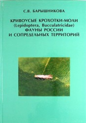 Кривоусые крохотки-моли (Lepidoptera, Bucculatricidae) фауны России и сопредельных территорий