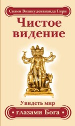 Чистое видение. Увидеть мир глазами Бога