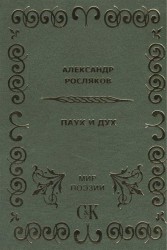 Паук и дух