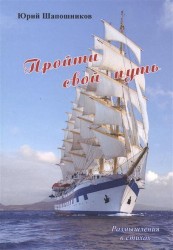 Пройти свой путь. Размышления в стихах