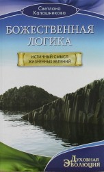 Божественная Логика. Истинный смысл жизненных явлений