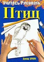 Учитесь рисовать птиц