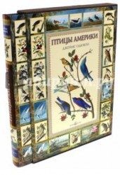 Птицы Америки (эксклюзивное подарочное издание)