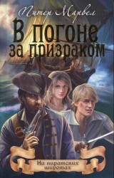 В погоне за призраком