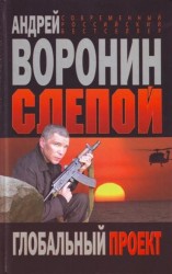 Воронин Слепой Глобальный проект