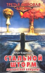 Стальной шторм. Арктический блицкриг