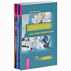 Ричард Уэбстэр. Воспоминания о прошлых жизнях. Родственные души. Энн Мериваль. Душа в душу (комплект из 3 книг)