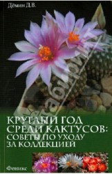 Круглый год среди кактусов: советы по уходу за коллекцией