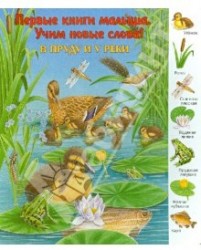 В пруду и у реки