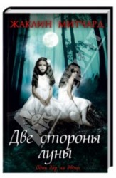 Две стороны луны