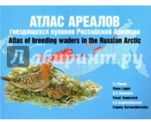 Атлас ареалов гнездящихся куликов Российской Арктики / Atlas of Breeding Waders in the Russian Arctic