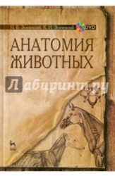 Анатомия животных. Учебное пособие (+ DVD-ROM)