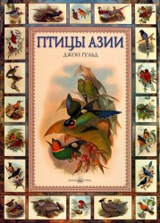 Птицы Азии (эксклюзивное издание)