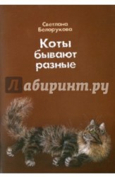 Коты бывают разные