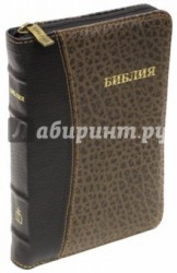 Библия. Книги Священного Писания Ветхого и Нового Завета. Канонические (048ZTIDT)