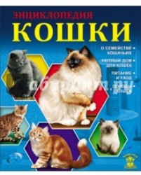 Кошки