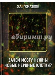 Зачем мозгу нужны новые нервные клетки?