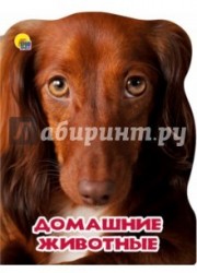 Домашние животные