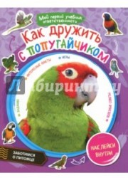 Как дружить с попугайчиком (+ наклейки)