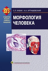 Морфология человека (+ CD-ROM)