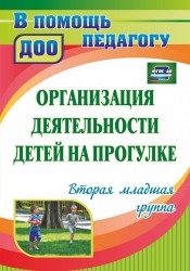 Организация деятельности детей на прогулке. Вторая младшая группа