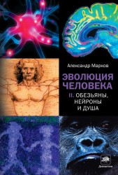 Эволюция человека. В 2 книгах. Книга 2. Обезьяны, нейроны и душа