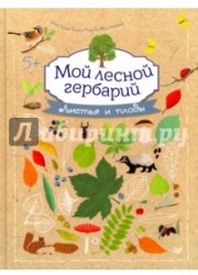 Мой лесной гербарий. Листья и плоды