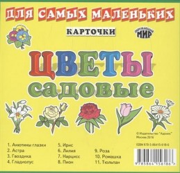 Карточки для самых маленьких. Цветы садовые