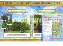 Природные зоны. Смешанные и широколиственные леса, тайга (комплект из 8 плакатов)