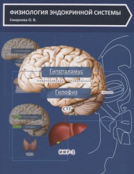 Физиология эндокринной системы. Учебное пособие