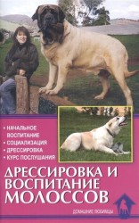 Дрессировка и воспитание молоссов. Начальное воспитание. Социализация. Дрессировка. Курс послушания