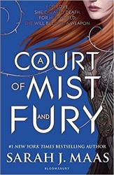 A Court of Mist and Fury (book 2)
