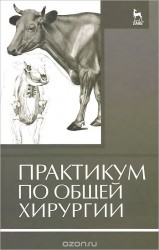 Практикум по общей хирургии. Учебное пособие