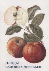 Плоды садовых деревьев (набор из 15 открыток)